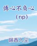 傅心不负心（np）