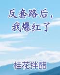 反套路后，我爆红了