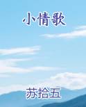 小情歌全文阅读